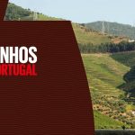 vinhos-portugal-2020